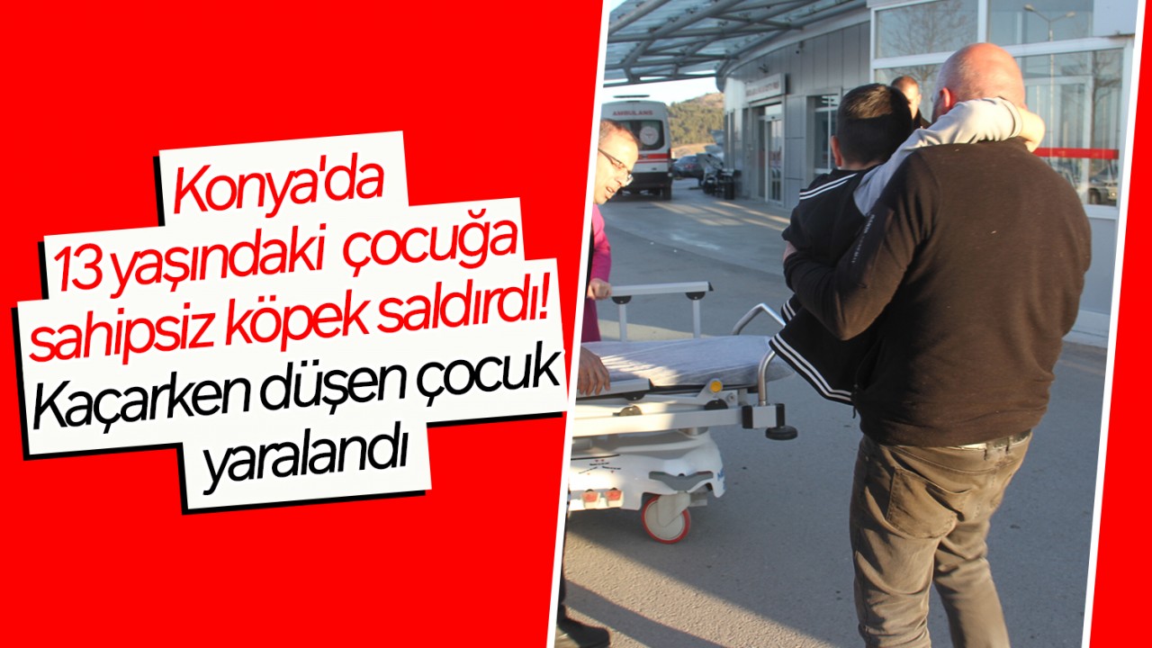 Konya'da 13 yaşındaki çocuğa sahipsiz köpek saldırdı! Kaçarken düşen çocuk yaralandı
