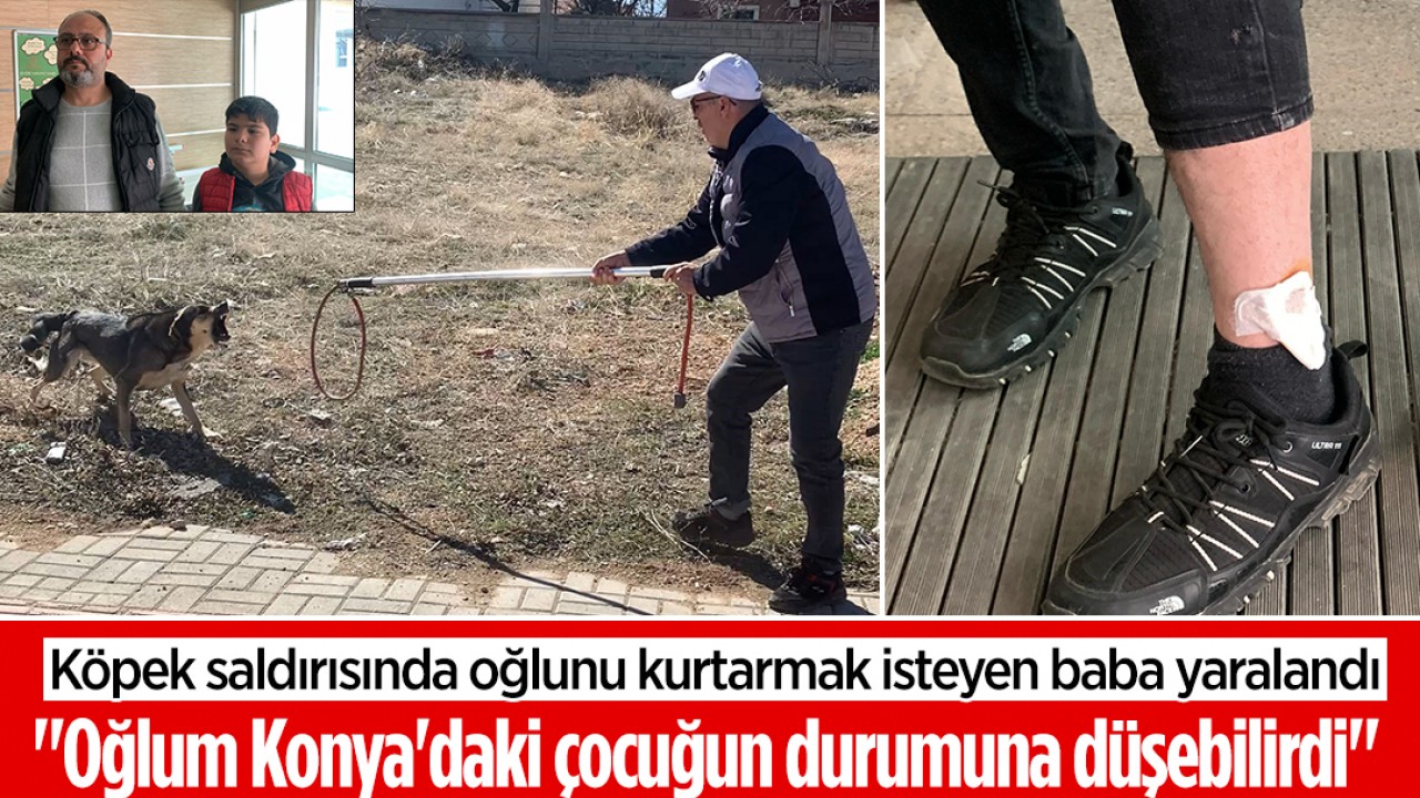 Köpek saldırısında oğlunu kurtarmak isteyen baba yaralandı: "Oğlum Konya'daki çocuğun durumuna düşebilirdi"