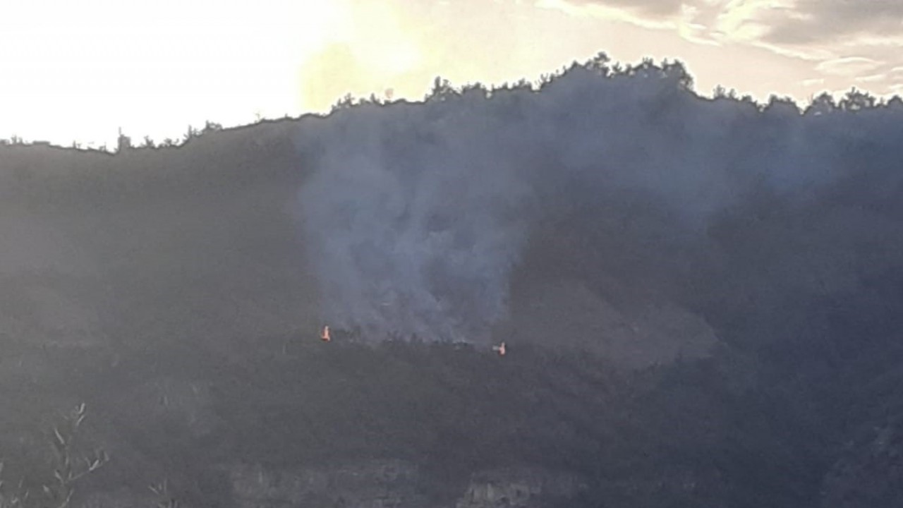 Yaz gelmeden orman yangınları başladı