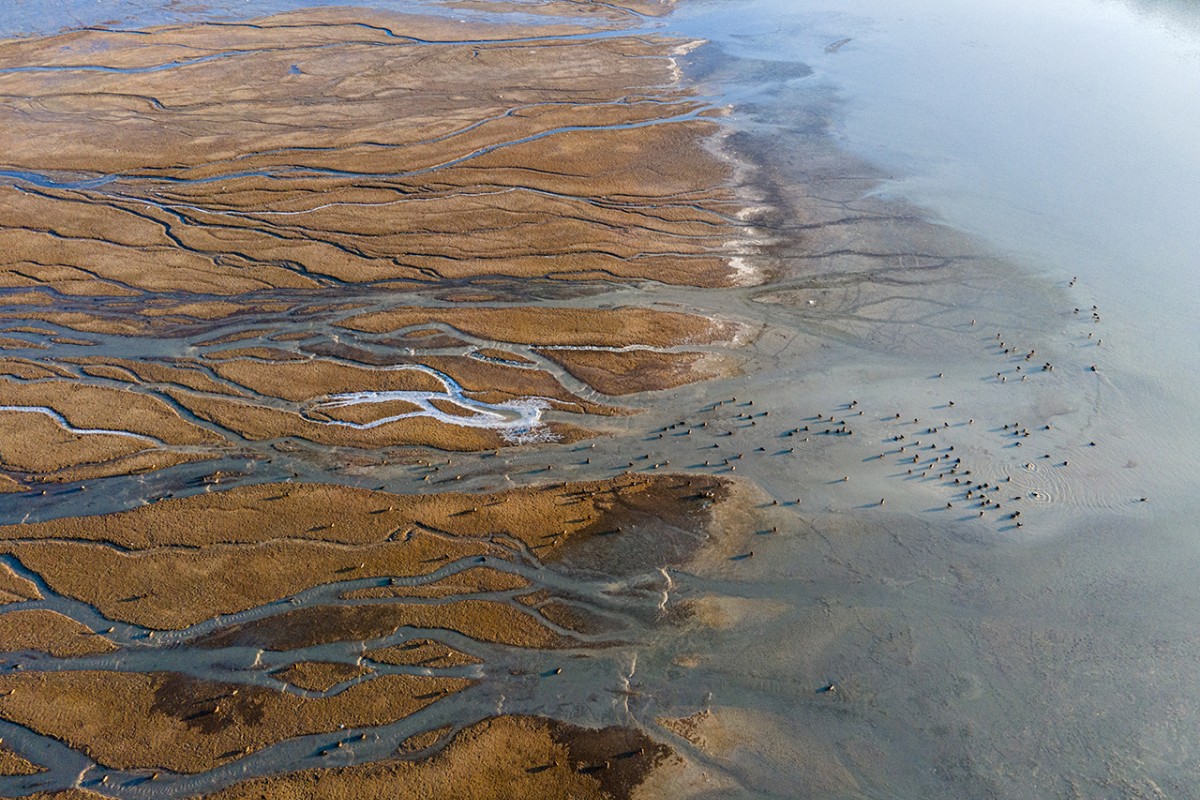 Altınapa Barajı, kuraklık tehdidi altında bulunuyor
