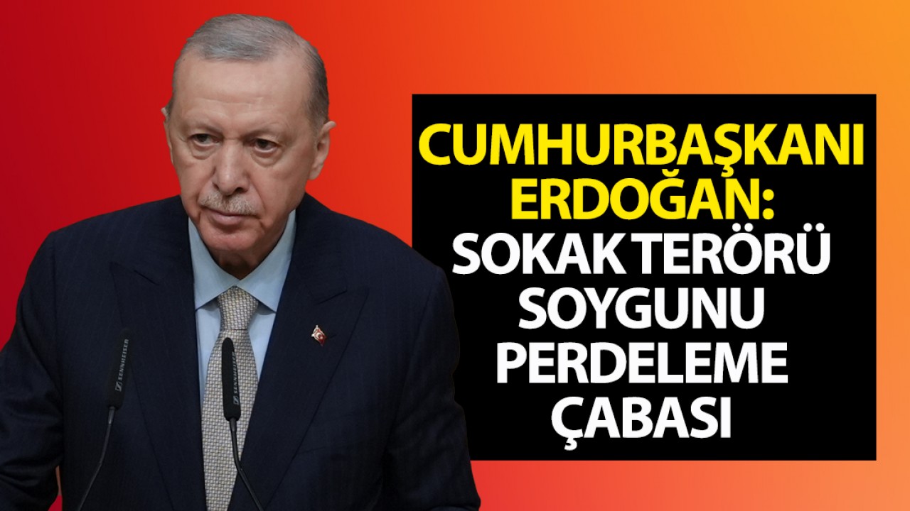 Cumhurbaşkanı Erdoğan: Sokak terörü, soygunu perdeleme çabası