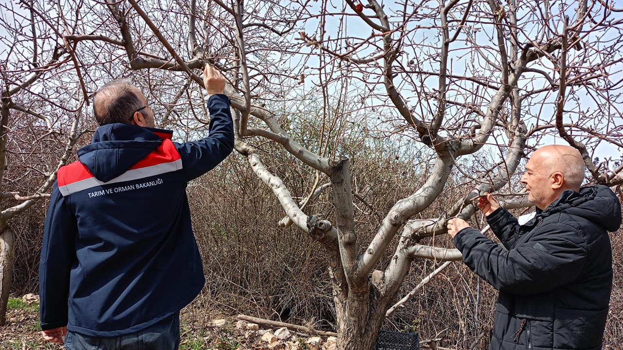 Beyşehir'de ziraat mühendislerinin çiftçi ziyaretleri sürüyor