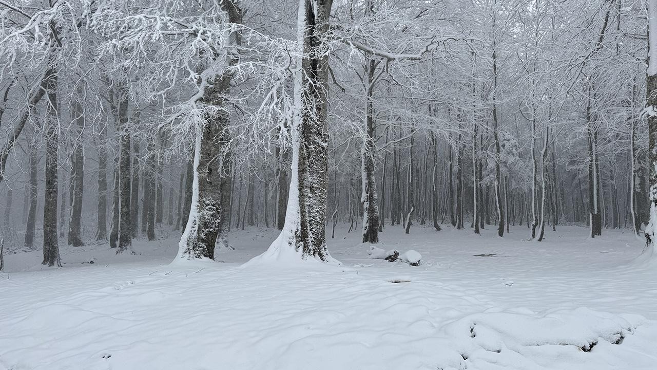 Baharda "kar" sürprizi: Birçok il beyaza büründü
