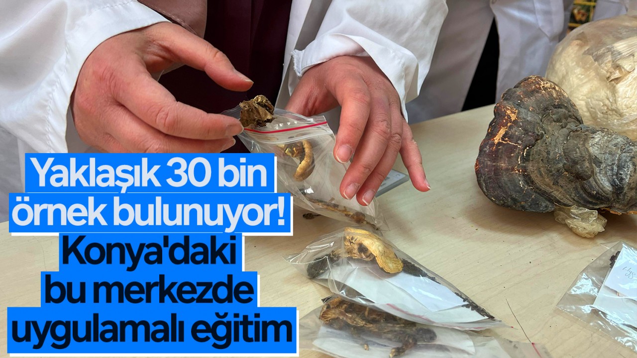 Yaklaşık 30 bin örnek bulunuyor! Konya'daki bu merkezde uygulamalı eğitim