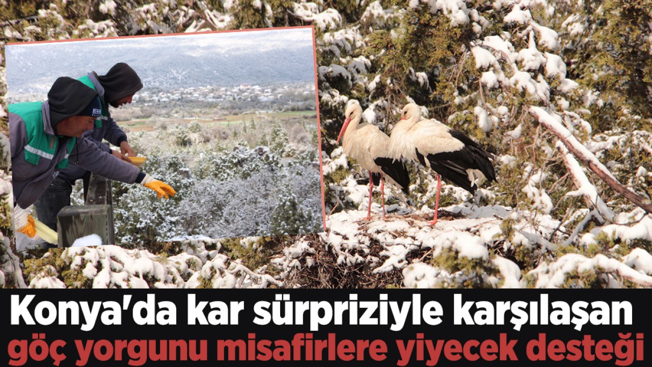 Konya'da kar sürpriziyle karşılaşan göç yorgunu misafirlere yiyecek desteği