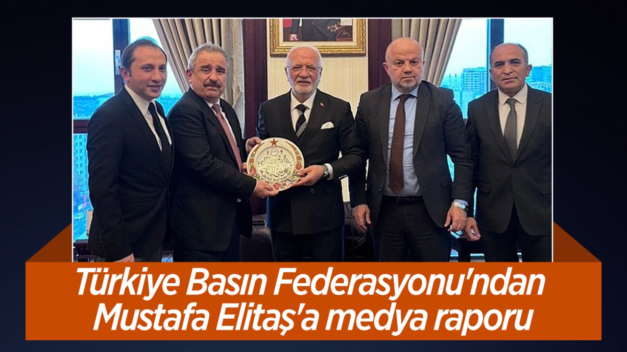 Türkiye Basın Federasyonu'ndan Mustafa Elitaş'a medya raporu