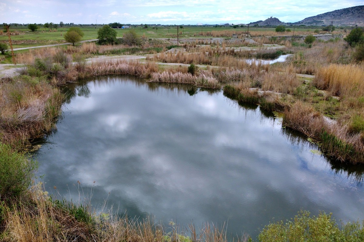 Kastabala Kuş Cenneti’nde ilkbahar renkleri