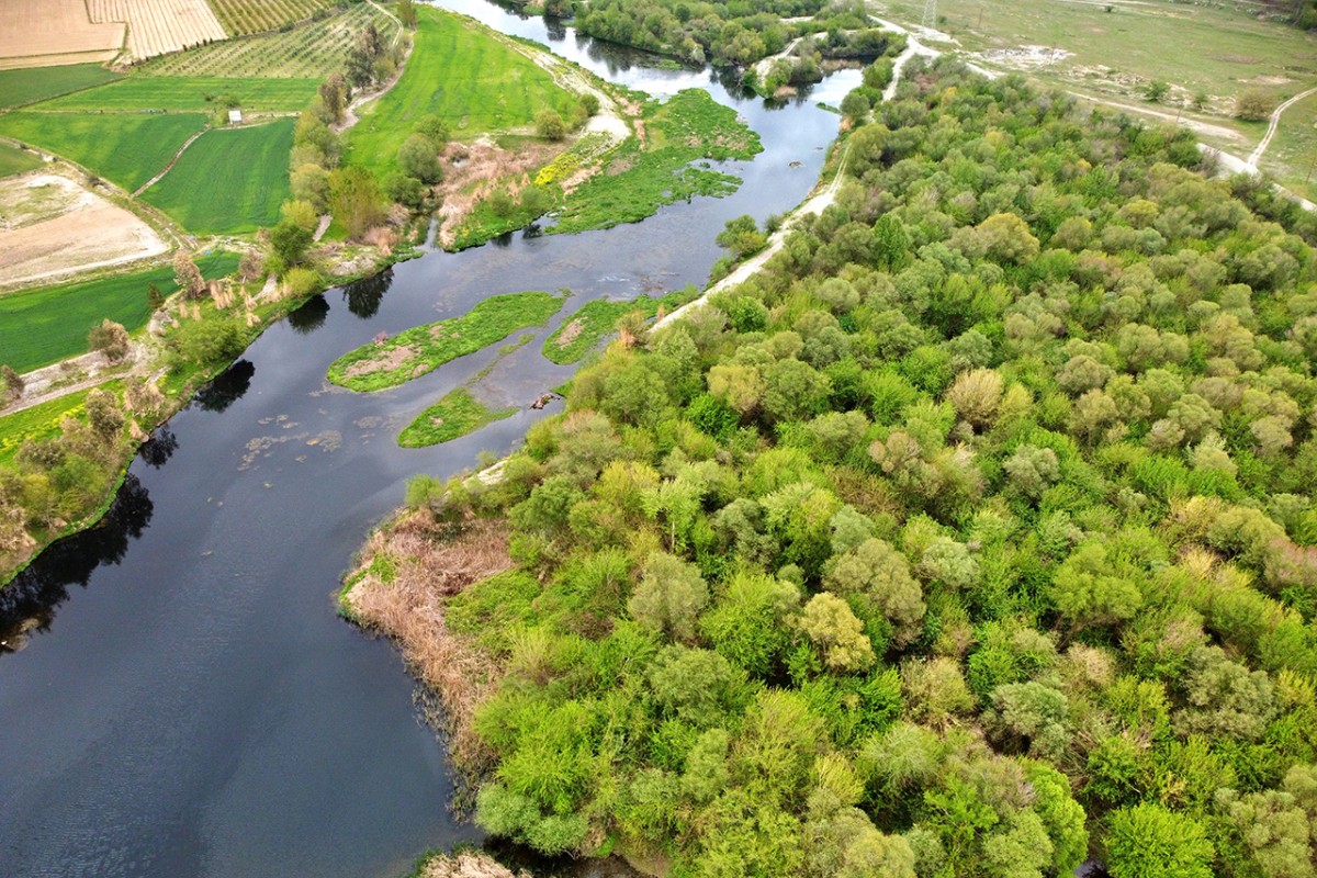 Kastabala Kuş Cenneti’nde ilkbahar renkleri
