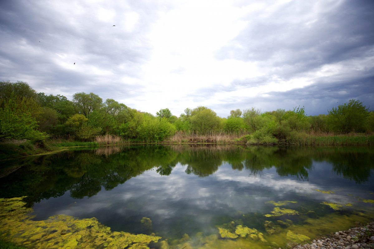 Kastabala Kuş Cenneti’nde ilkbahar renkleri