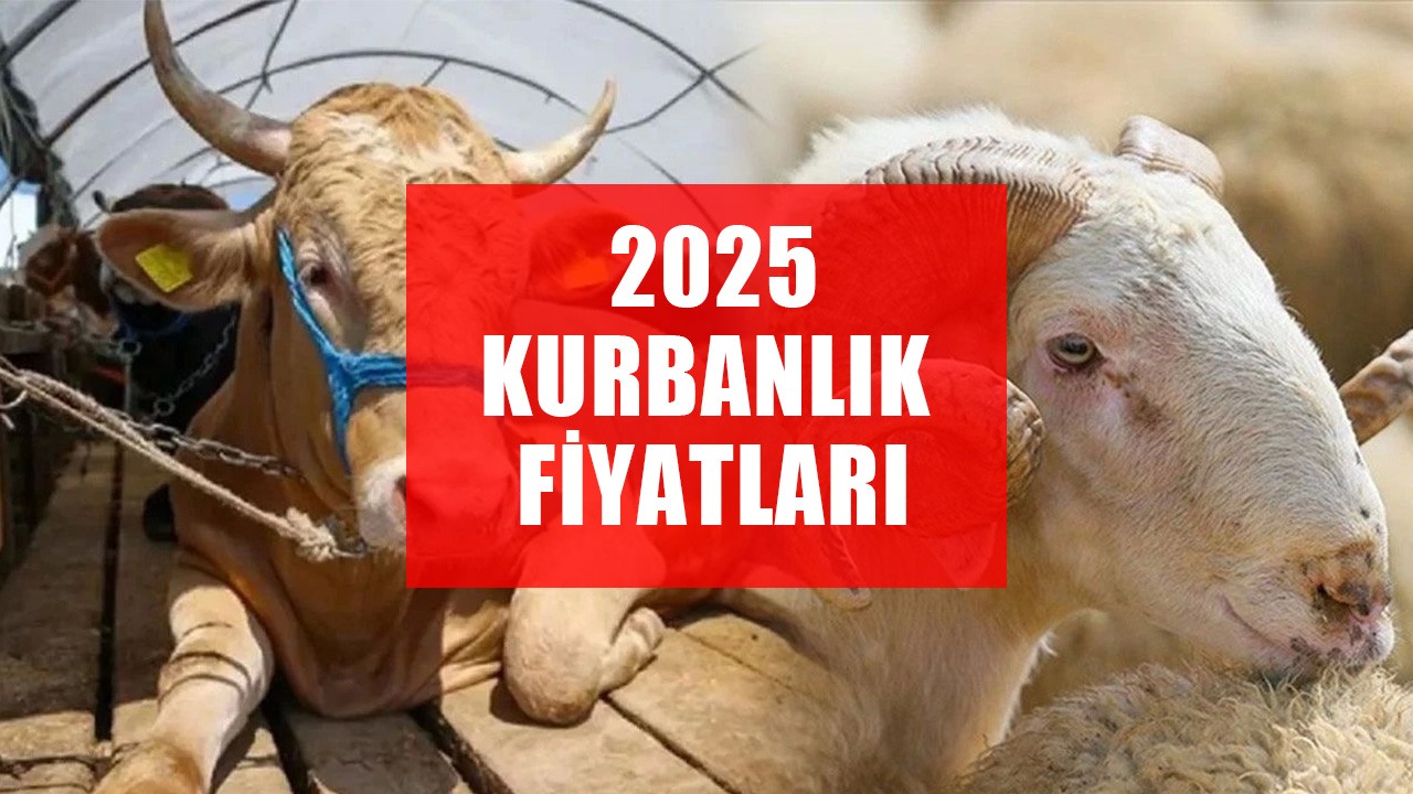 Kurbanlık Fiyatları 2025: Büyükbaş ve Küçükbaş Kurbanlıklar Ne Kadar Oldu?