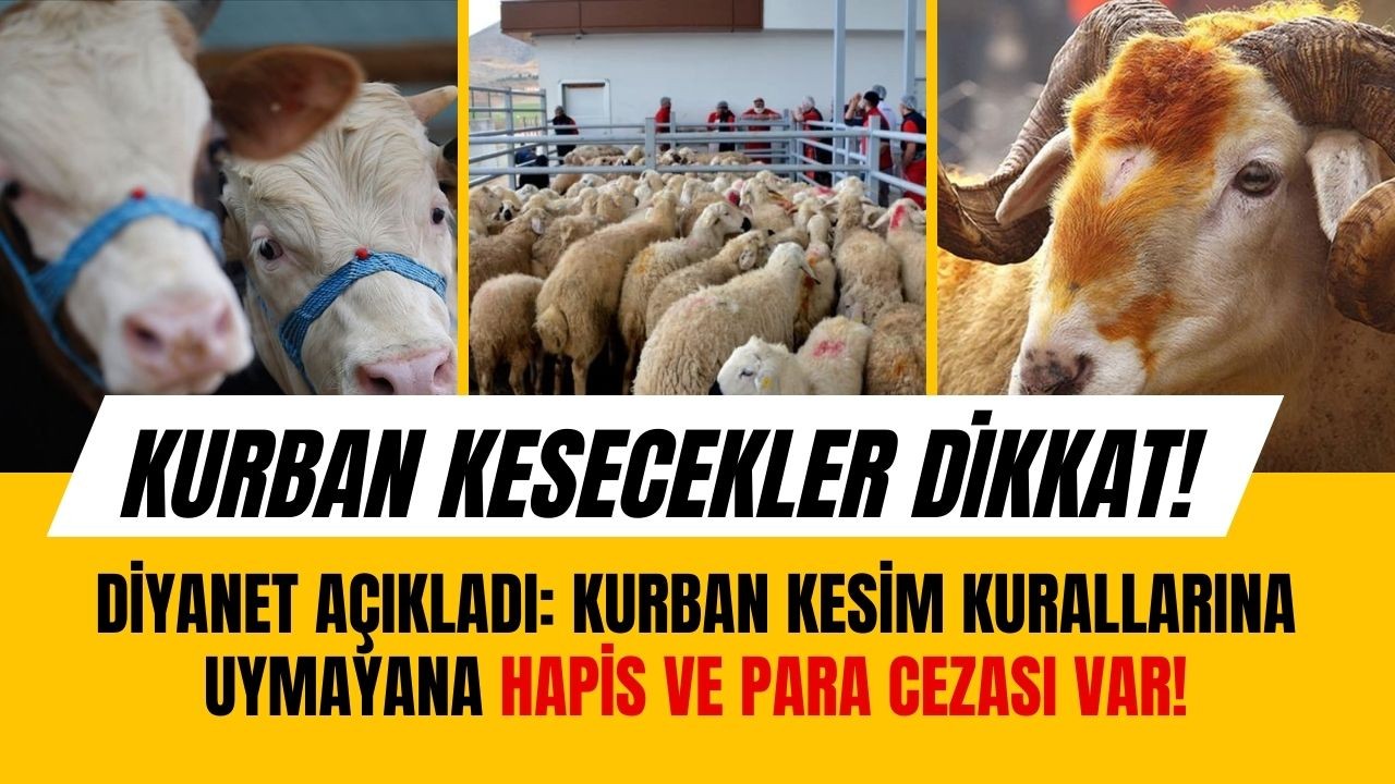 Kurban kesecekler dikkat! Diyanet açıkladı: Kurban kesim kurallarına uymayana hapis ve para cezası var!