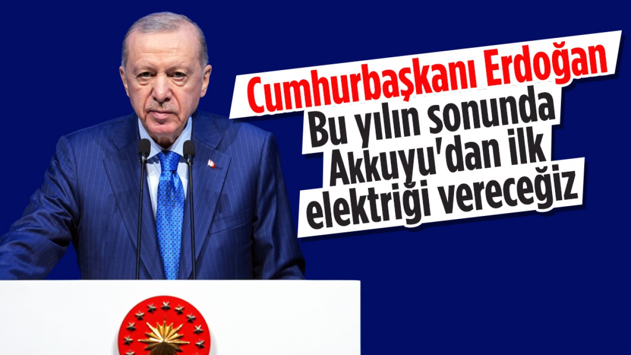 Cumhurbaşkanı Erdoğan: Bu yılın sonunda Akkuyu'dan ilk elektriği vereceğiz