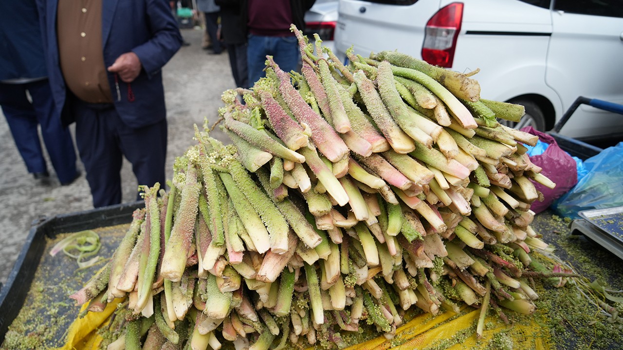 Şifa kaynağı olarak biliniyor! Dağlık alandan toplanıp pazara getiriliyor: Kilosu 150 lira