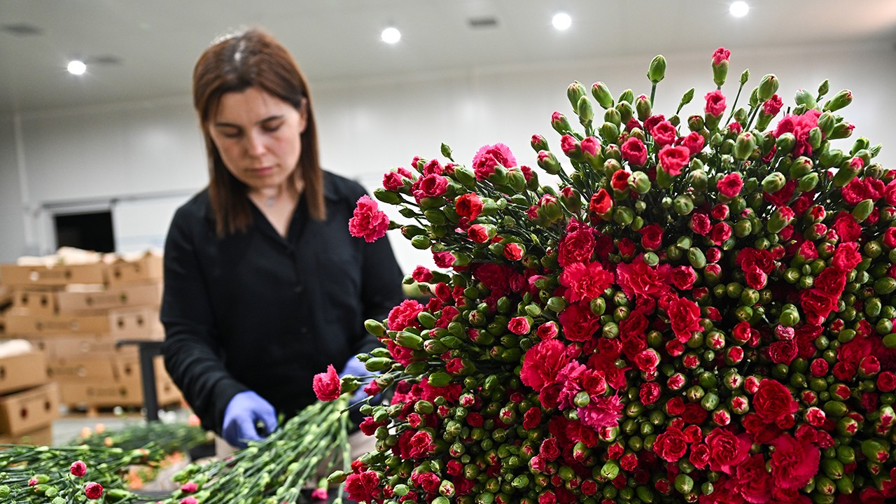 Anneler Günü için 30 ülkeye çiçek ihraç edildi