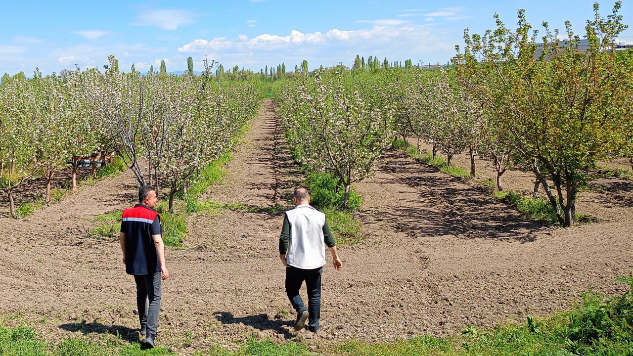 Beyşehir'de meyve bahçeleri hastalık ve zararlılara karşı kontrol edildi