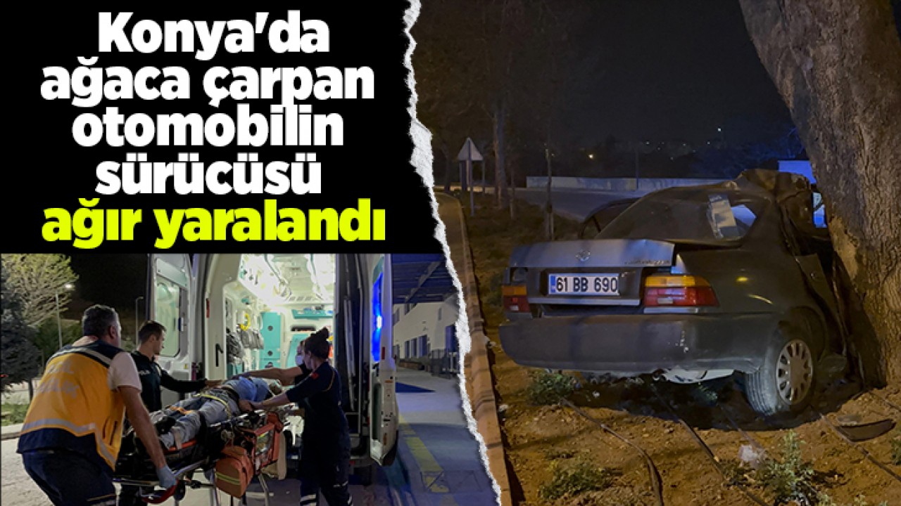Konya'da ağaca çarpan otomobilin sürücüsü ağır yaralandı