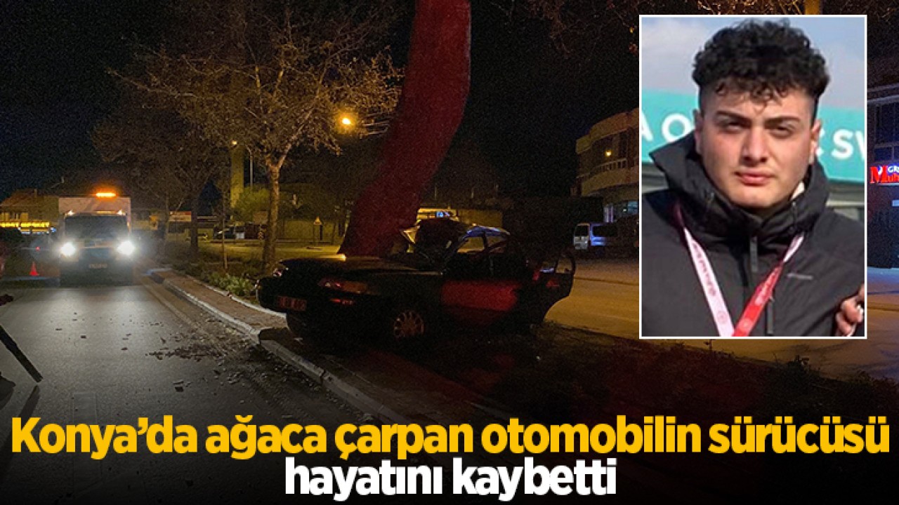 Konya'da ağaca çarpan otomobilin sürücüsü hayatını kaybetti
