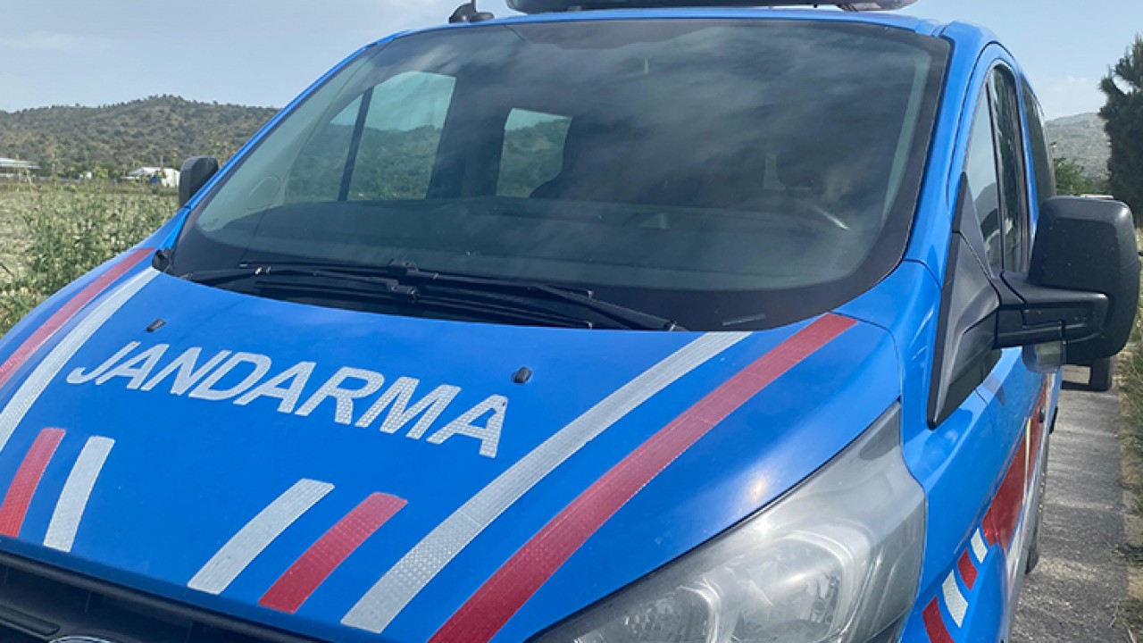 Evinin bahçesinde ölü bulundu