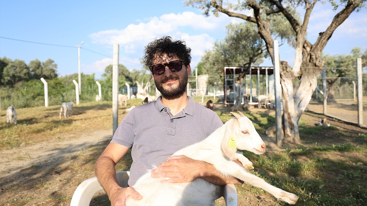 Çocuğuna taze süt içirmek için keçi aldı, kendisini çobanlık mesleğinin içinde buldu