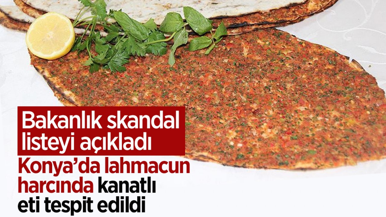 Bakanlık skandal listeyi açıkladı: Konya’da lahmacun harcında kanatlı eti tespit edildi