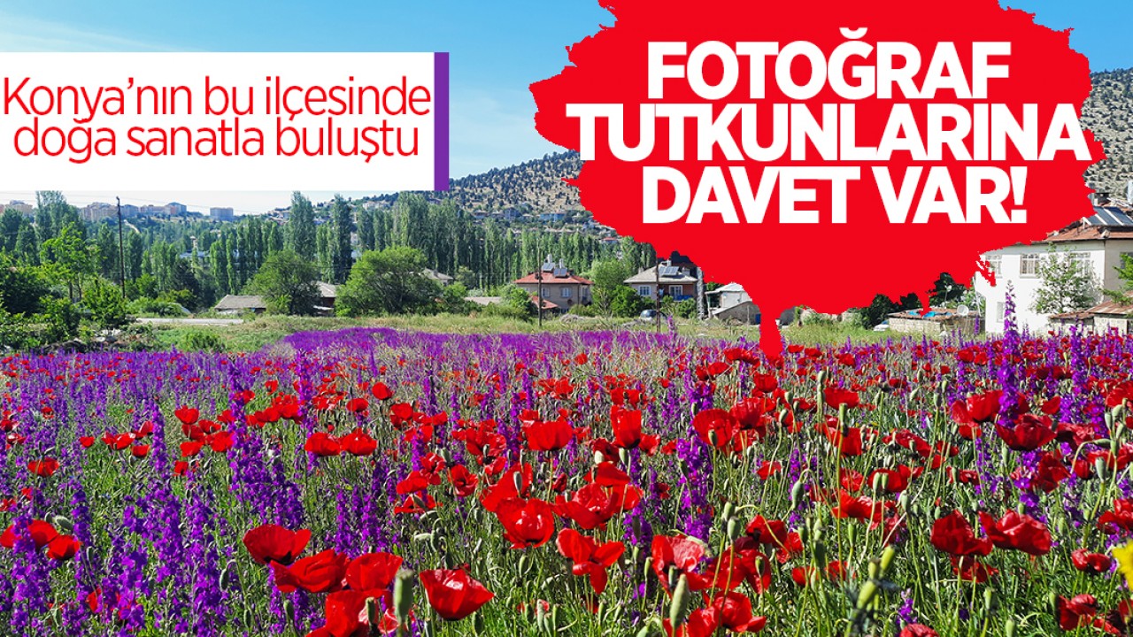 Fotoğraf tutkunlarına davet var! Konya’nın bu ilçesinde doğa sanatla buluştu