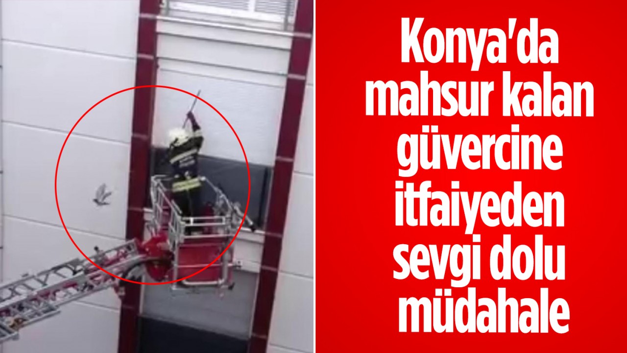 Konya'da mahsur kalan güvercine itfaiyeden sevgi dolu müdahale
