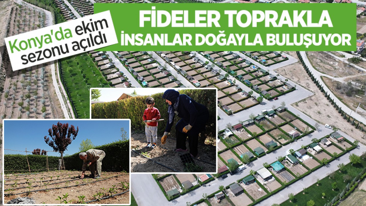 Konya'da ekim sezon açıldı: Fideler toprakla, insanlar doğayla buluşuyor