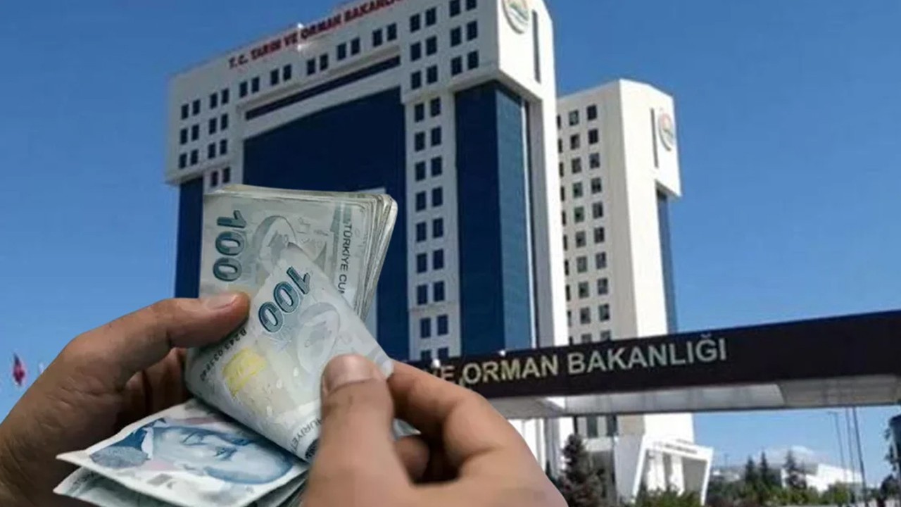 Bakanlık duyurdu: Başvuran 18 bin TL alacak!