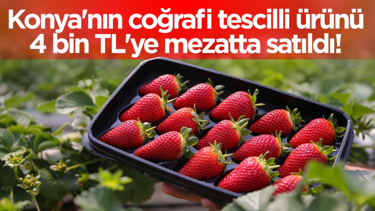 Konya'nın coğrafi tescilli ürünü 4 bin TL'ye mezatta satıldı!