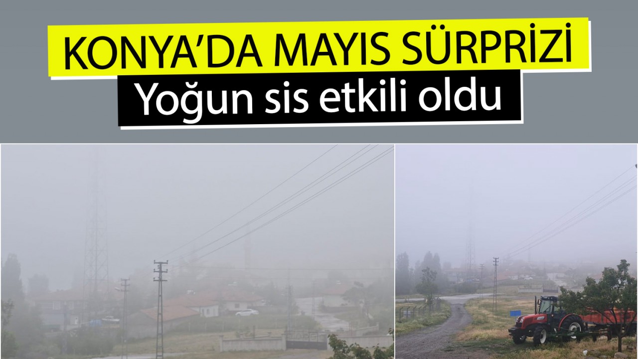 Konya'da mayıs sürprizi: Yoğun sis etkili oldu