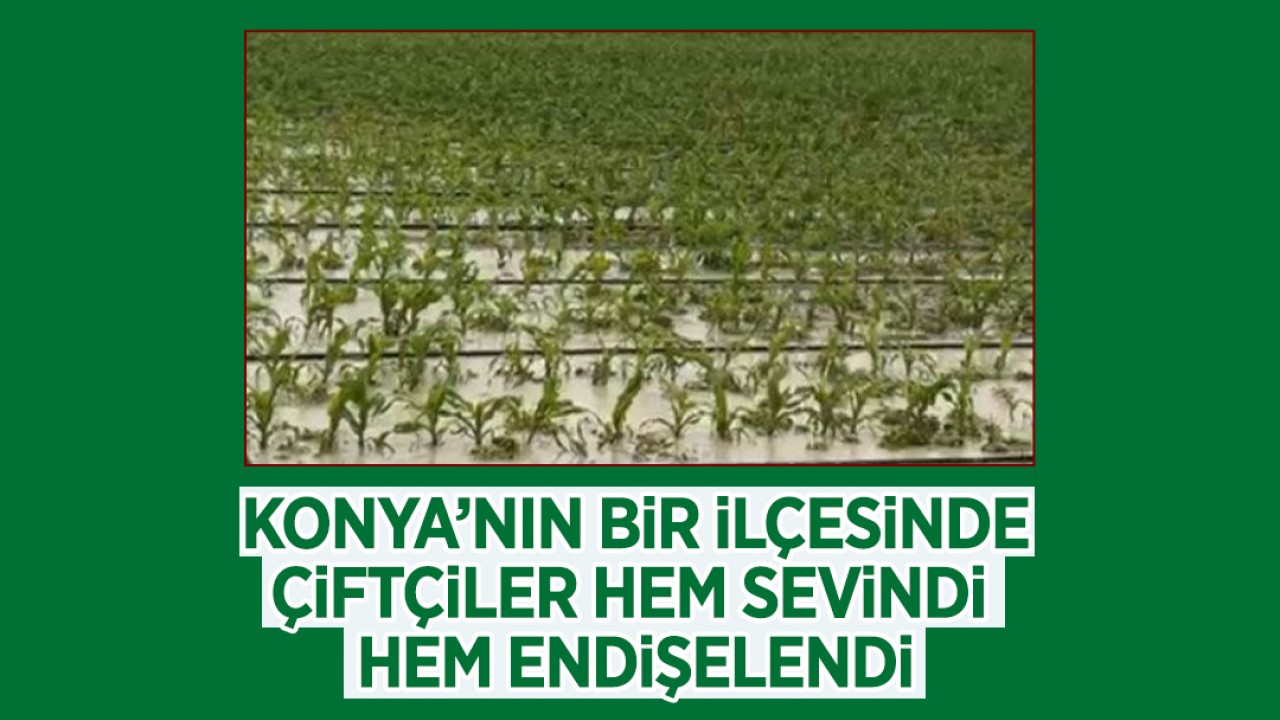 Konya'nın bir ilçesinde çiftçiler hem sevindi hem endişelendi!