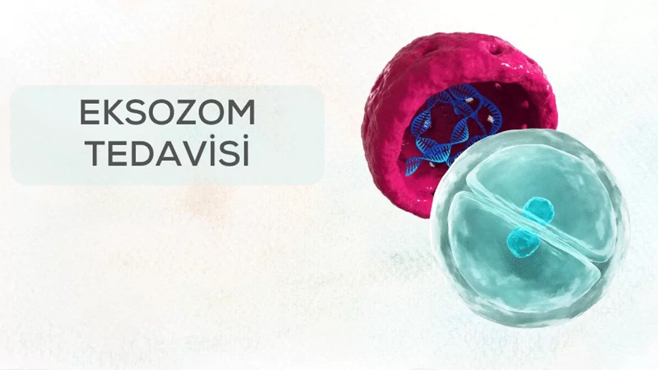 Eksozom Nedir? Eksozom Tedavisi Faydaları Nelerdir?