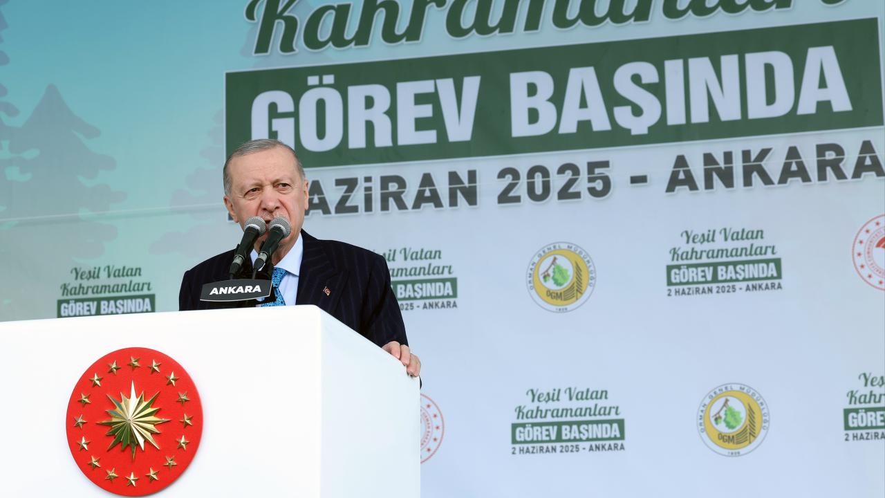 Cumhurbaşkanı Erdoğan: Yangınla mücadelede İHA kullanımında Avrupa'da birinciyiz