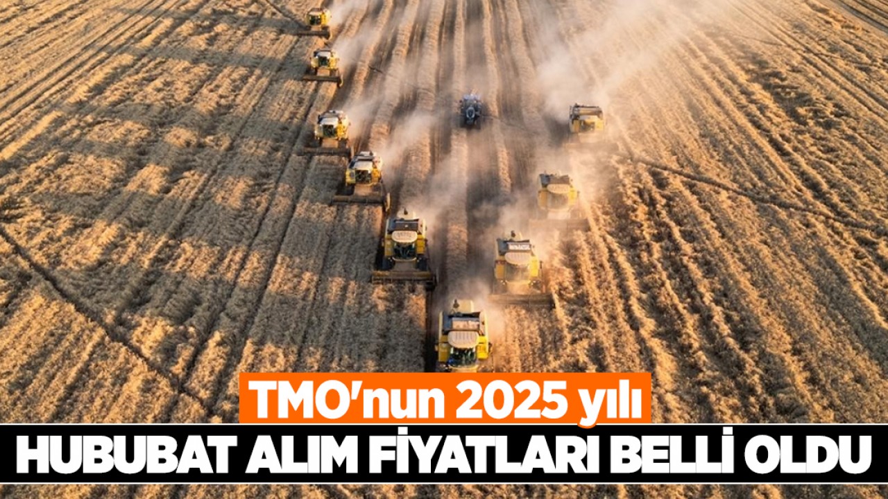 TMO'nun 2025 yılı hububat alım fiyatları belli oldu