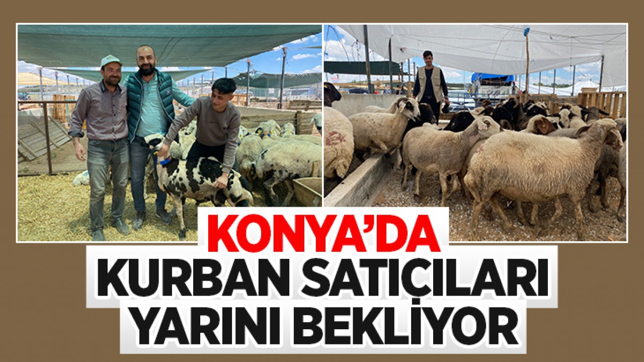 Konya'da kurban satıcıları yarını bekliyor