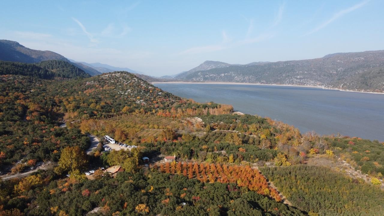 Sıcaklıklar arttı, yangınlara karşı ormanlara giriş yasağı getirildi