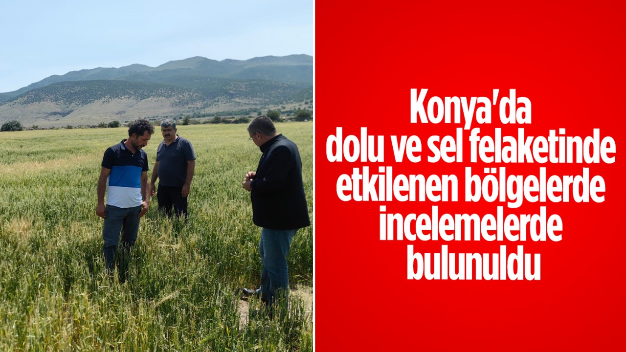 Konya'da dolu ve sel felaketinde etkilenen bölgelerde incelemelerde bulunuldu