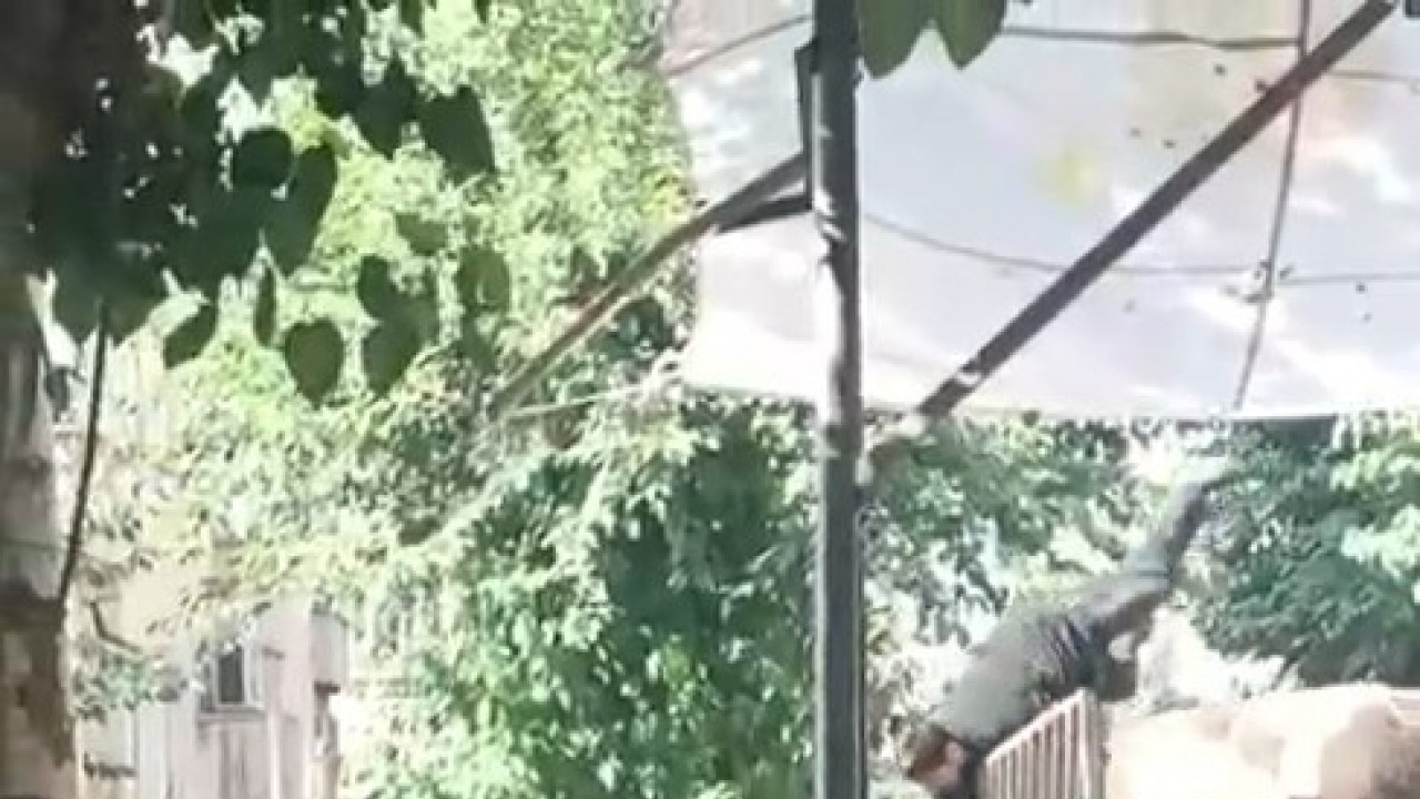 Kızgın boğa kasaba hayatının kabusunu yaşattı