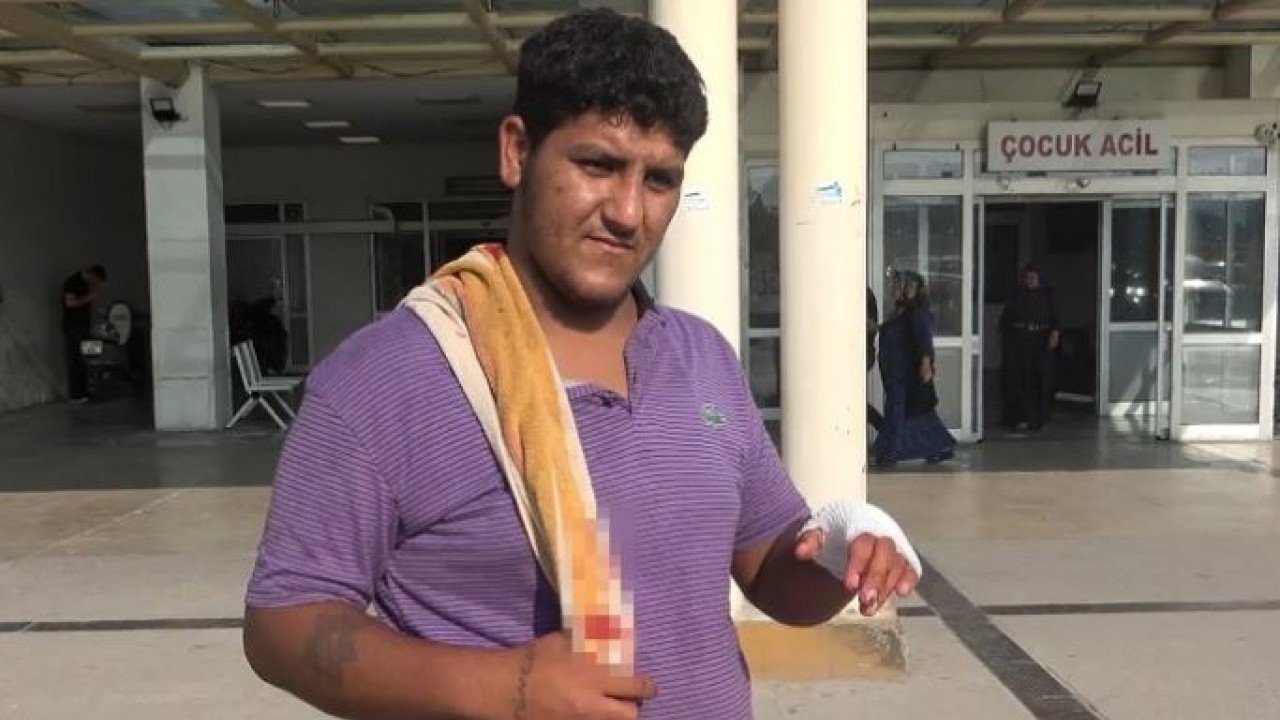 Rekor o ile geçti! 194 acemi kasap kendini yaraladı