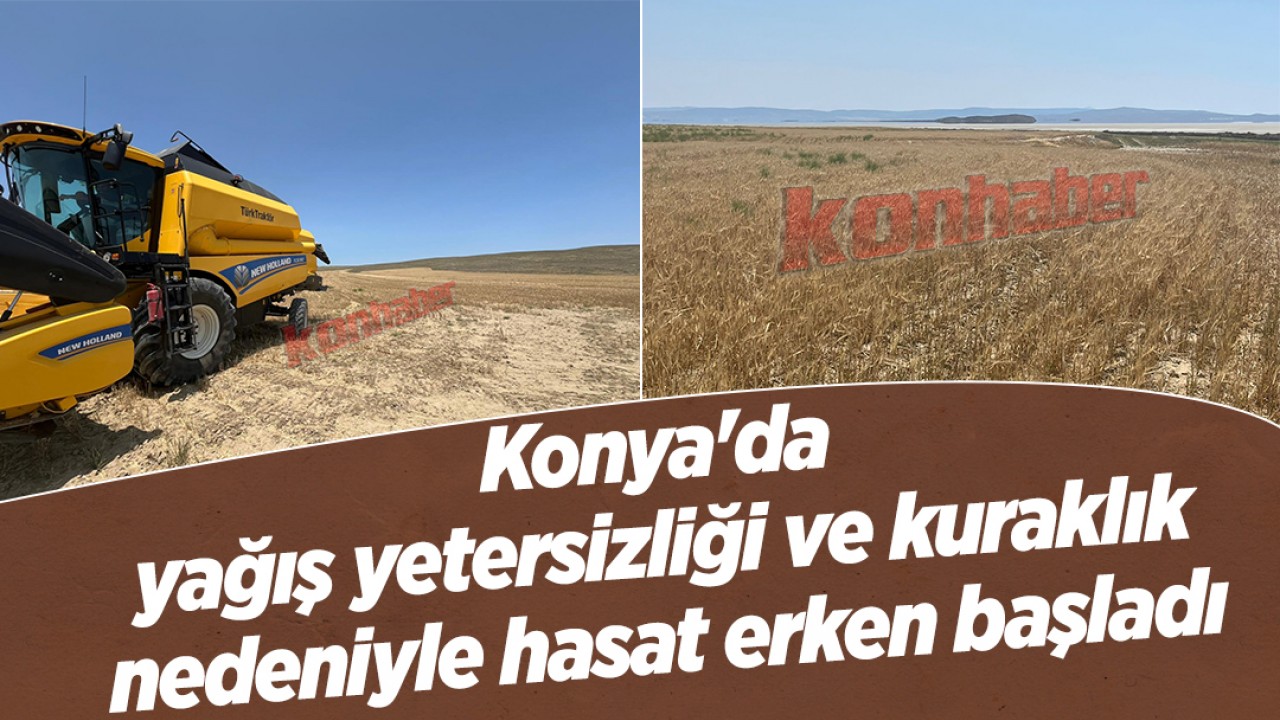 Konya'da yağış yetersizliği ve kuraklık nedeniyle hasat erken başladı