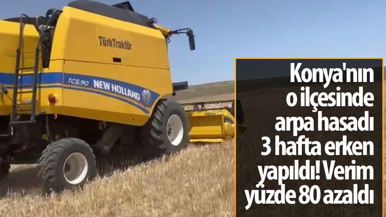 Konya'nın o ilçesinde arpa hasadı 3 hafta erken yapıldı! Verim yüzde 80 azaldı
