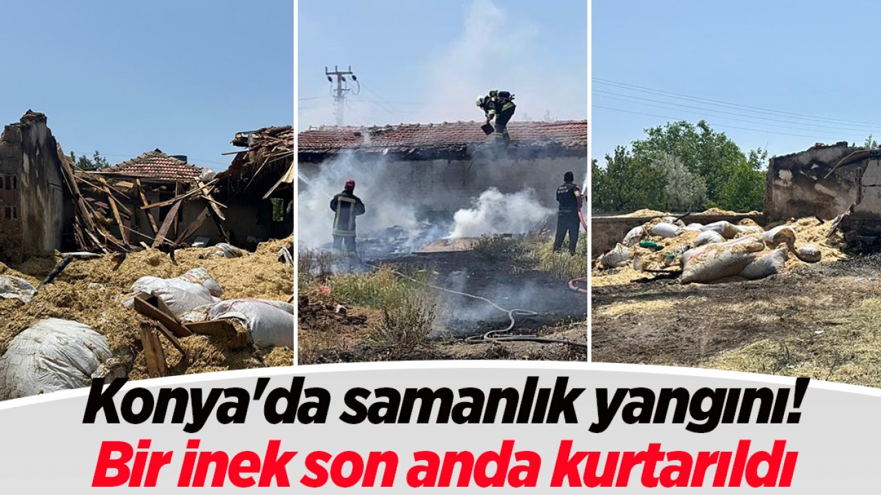 Konya'da samanlık yangını: Bir inek son anda kurtarıldı