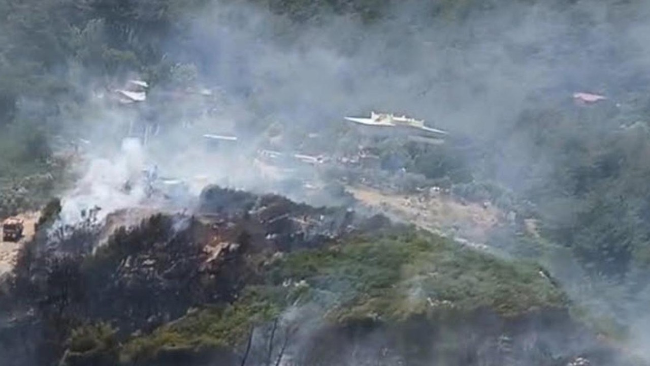 İzmir'de orman yangını! Müdahale sürüyor