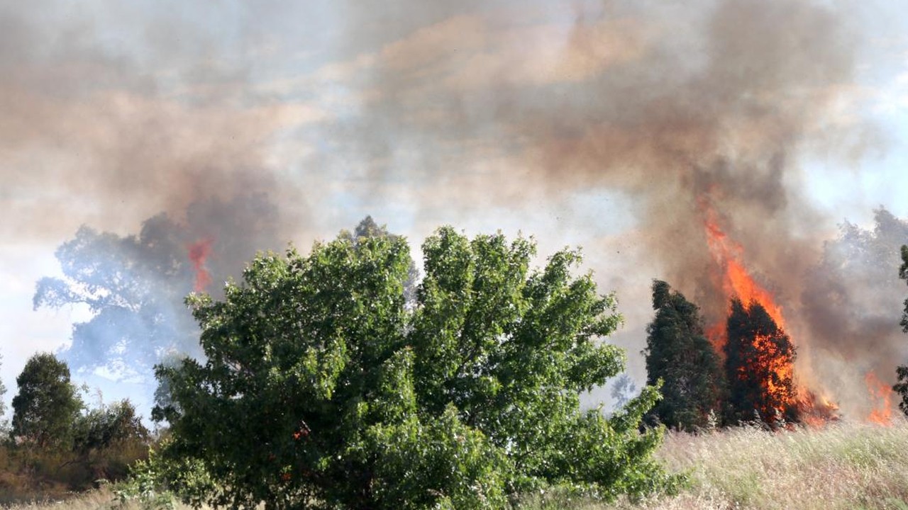 'Yaktığı mangal yangına neden oldu' iddiasıyla 1 kişi tutuklandı