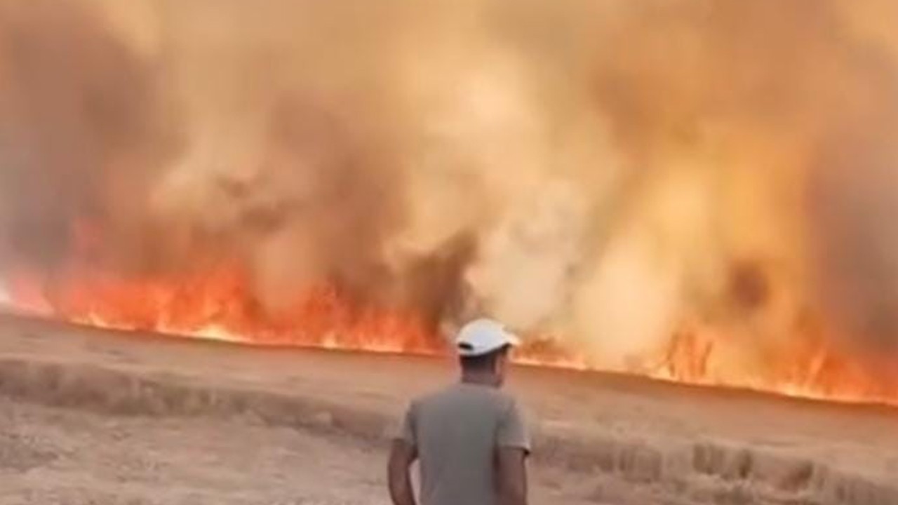 40 dönüm ekili arazi yandı