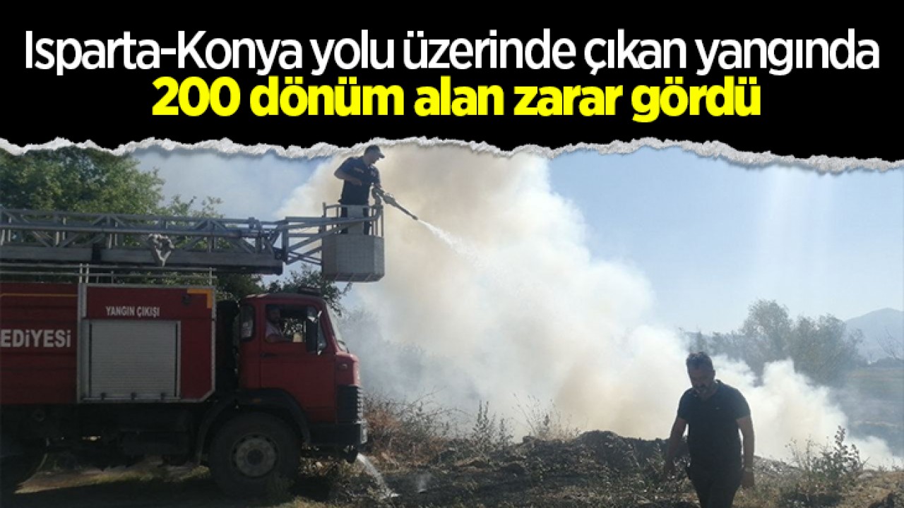 Isparta-Konya yolu üzerinde çıkan yangında 200 dönüm alan zarar gördü