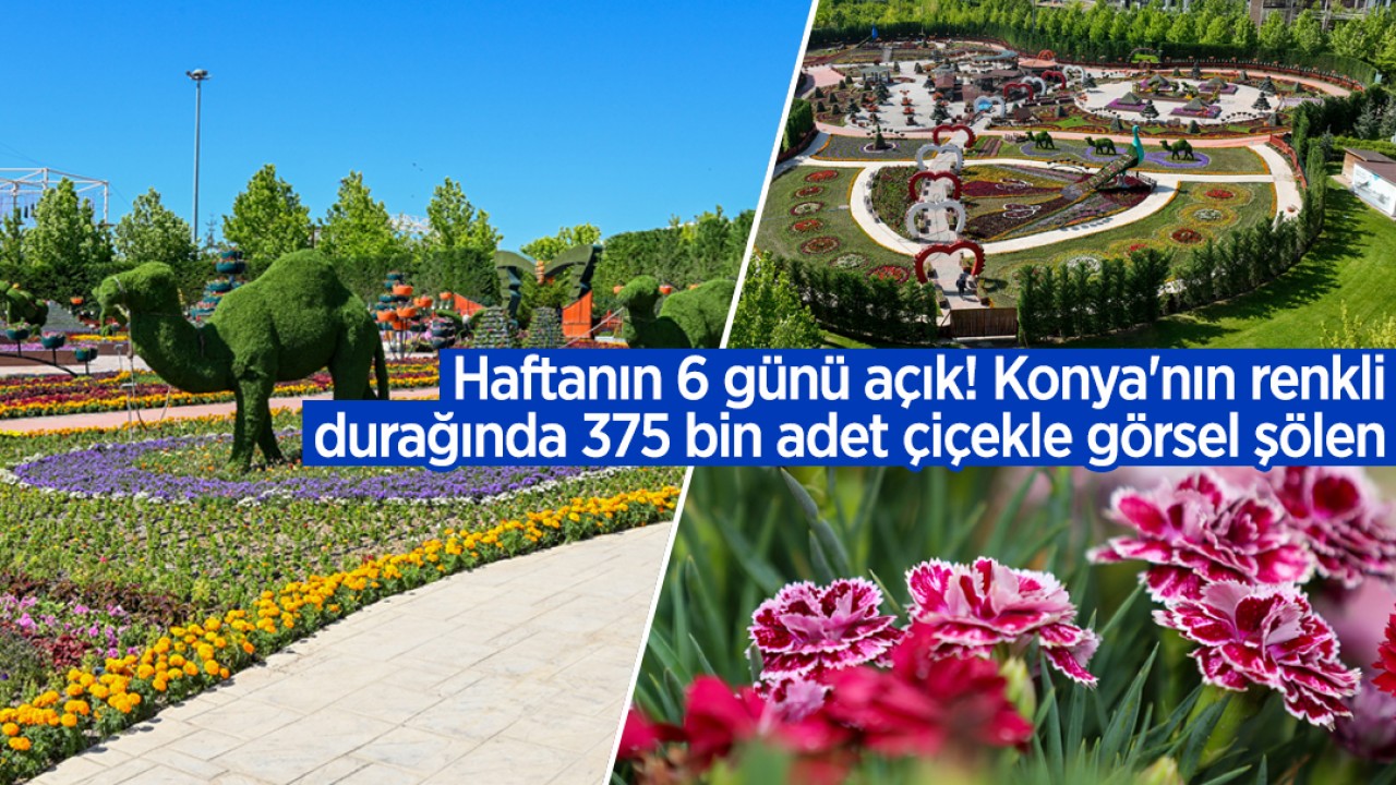 Haftanın 6 günü açık! Konya'nın renkli durağında 375 bin adet çiçekle görsel şölen