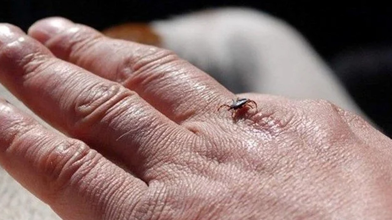 Türkiye'de 18 kişi hayatını kaybetti! En riskli iller belli oldu! Aralarında Konya var mı?