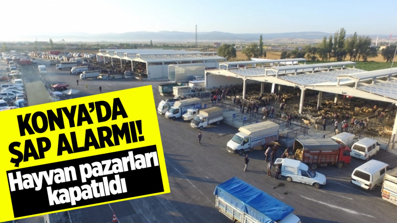 Konya’da şap alarmı! Hayvan pazarları kapatıldı