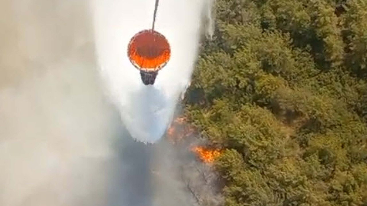 İzmir'de orman yangını